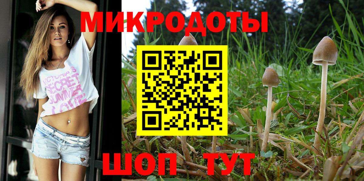 Псилоцибиновые грибы Cubensis Чебоксары
